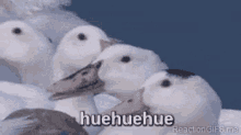1742168049060.gif