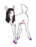 1673220032.ecmajor_doerita-web.png