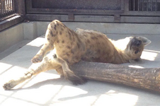 draw-me-like-one-of-your-french-yeens-v0-sgd1wj10yzne1.png