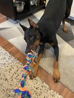 IMG_5289.jpeg