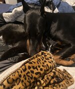 IMG_4966.jpeg
