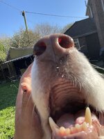 IMG_3624.jpeg