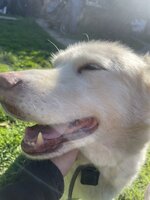IMG_3622.jpeg