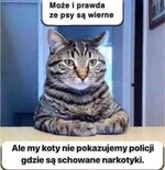 kott.jpg