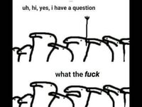 1000044162.jpg
