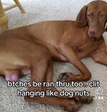 IMG_0708.jpeg