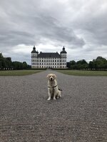 IMG_0008.jpeg
