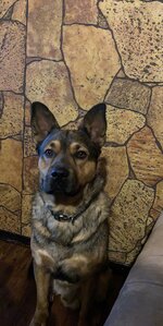 IMG_0250.jpeg