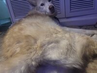 IMG_3826.jpeg