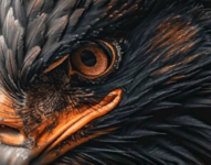 1744851715570.png