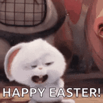 rabbit-happy.gif