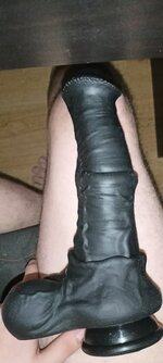 IMG20241027134431.jpg