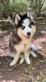 IMG_0372.jpeg