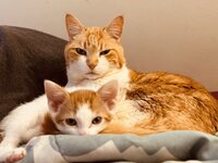 IMG_1304.jpeg