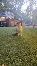 IMG_8127.jpeg