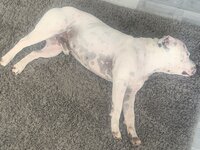 IMG_9204.jpeg