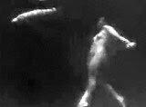 tarzan2.jpg