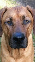 IMG_5523.jpeg