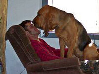 IMG_2986.jpeg