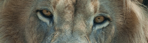 1746404112205.png