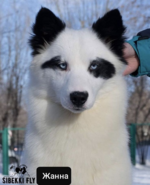 1746424926566.png