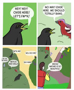 IMG_0205.jpeg