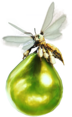 1000020827.png