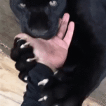 you-wouldnt-need-that-finger-anymore-do-you.gif