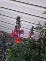 20250514_201111.jpg