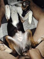 IMG_20250422_091820.jpg