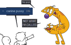 1747503974047.png