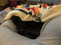 IMG_8601.jpeg