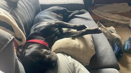 IMG_8563.jpeg