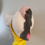 IMG_3678.jpeg