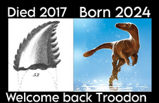 1747852934866.png 1747852934866.png