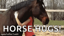horse-girl.gif