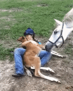 e837439ec5248047fffb4e445fcee180.gif