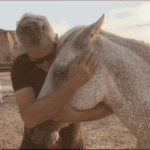 horse-friend.gif