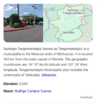 tanga.png