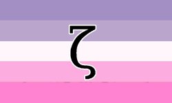 IMG_8146.jpeg