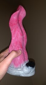 IMG_6995.jpeg