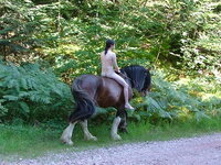 DSCF1825b.jpg