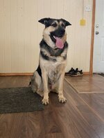 IMG_0176.jpeg