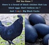 FB_IMG_1748726413380.jpg