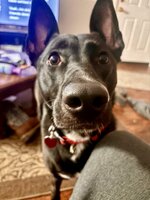 IMG_2608.jpeg