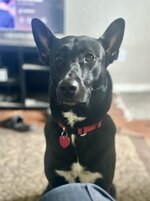 IMG_2779.jpeg