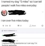 1000026110.jpg