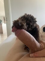 IMG_2867.jpeg