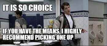 ferris_choice.jpg