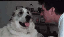 no-hit.gif